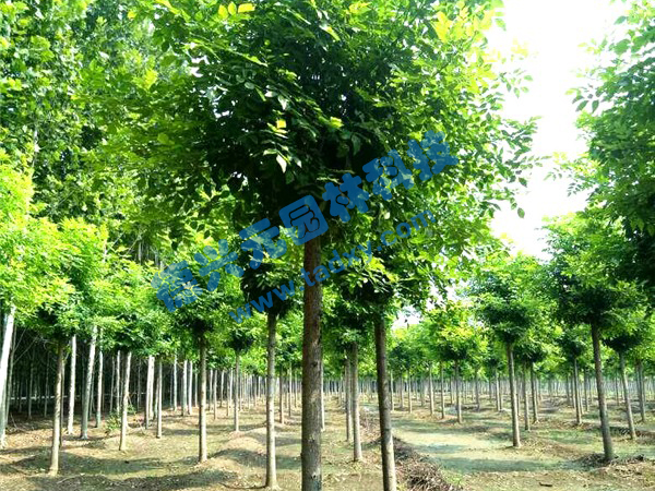 �c���鿴Ԕ����Ϣ���}����Ϟ ��x�Δ���2316