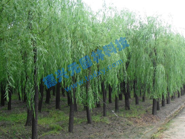 �c���鿴Ԕ����Ϣ���}������ ��x�Δ���2302