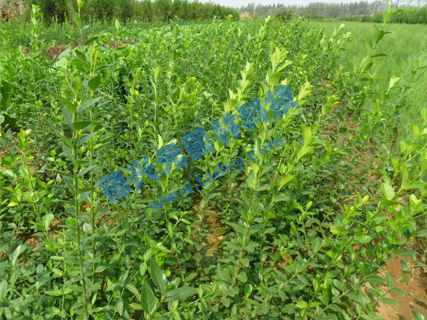 �c���鿴Ԕ����Ϣ���}�����~������ ��x�Δ���2673