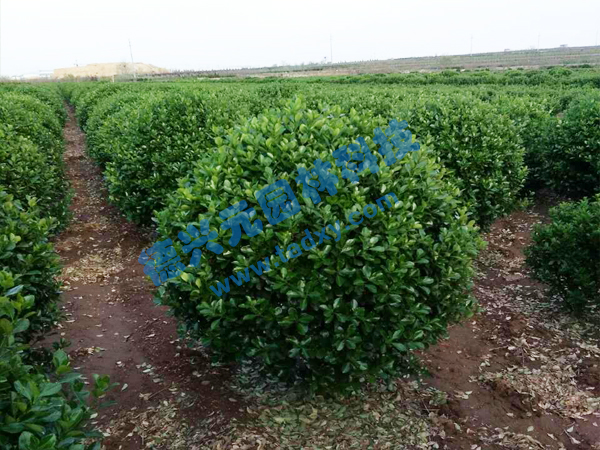 �c���鿴Ԕ����Ϣ���}�����~�S���� ��x�Δ���2445