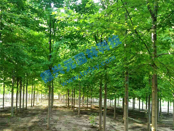 �c���鿴Ԕ����Ϣ���}�������t�� ��x�Δ���1970