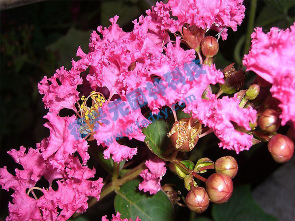 �c���鿴Ԕ����Ϣ���}����ޱ ��x�Δ���1769